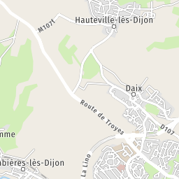 Petit Casino Avenue Du Drapeau Dijon